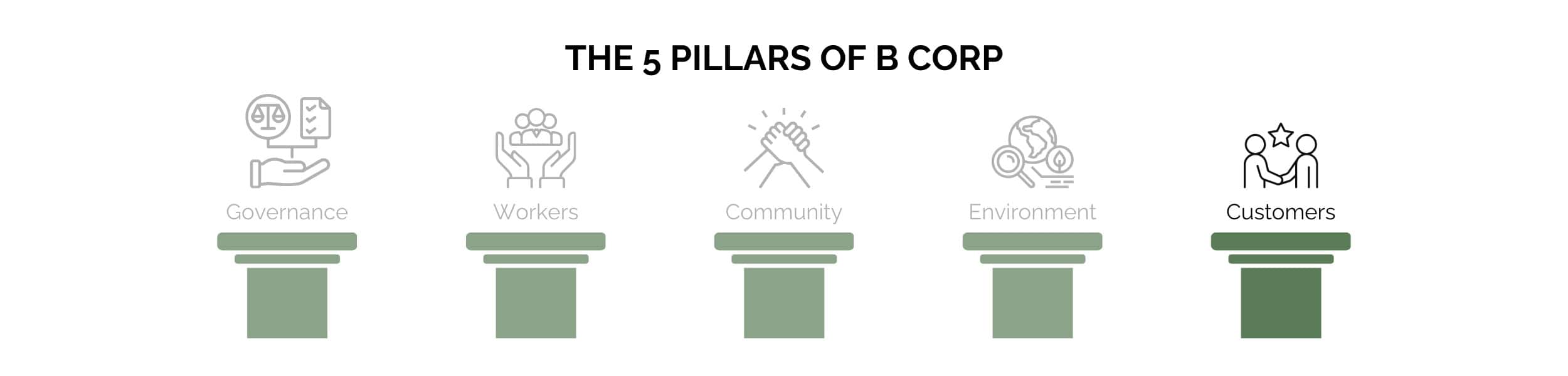 B Corp Pillars Customer